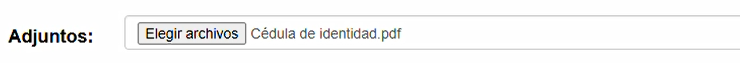 Documento de identidad.png