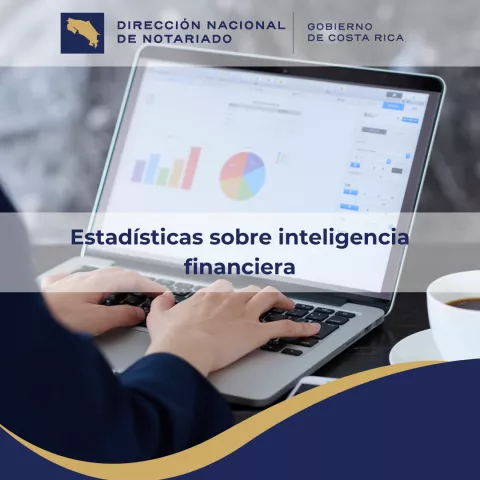 Volante de estadísticas de inteligencia financiera.png
